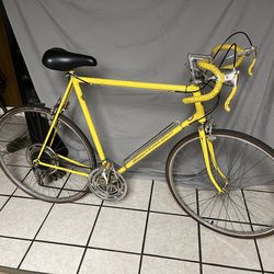 Schwinn super sport