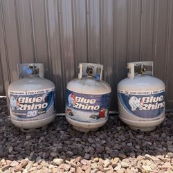 PROPANE TANKS / STORAGE BINS / POOL HOSES / METAL SHELVING – PRICED INDIVIDUALLY