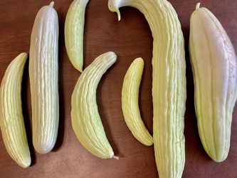 MORE FRESHLY PICKED ARMENIAN CUCUMBERS!!