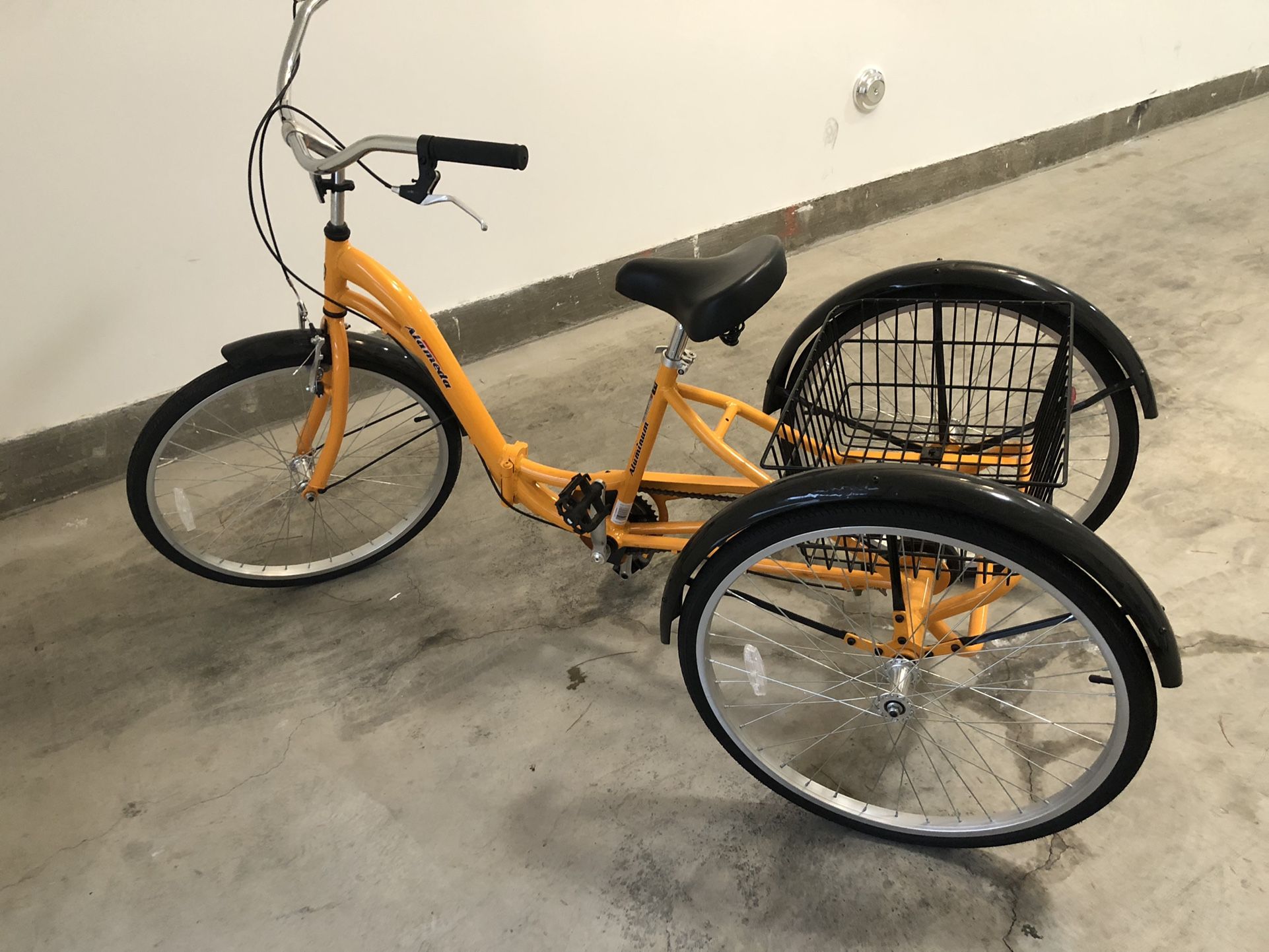 Adult Tricycle