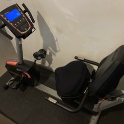 Schwinn Recumbent Exercise Bike (with Mat and Comfortable Seat Cover) - $275