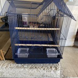 Bird Cage
