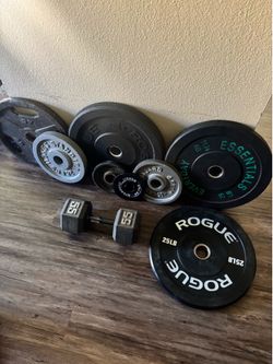 200+ lbs SINGLE WEIGHTS . TAKE ALL FOR ONLY $70 CASH