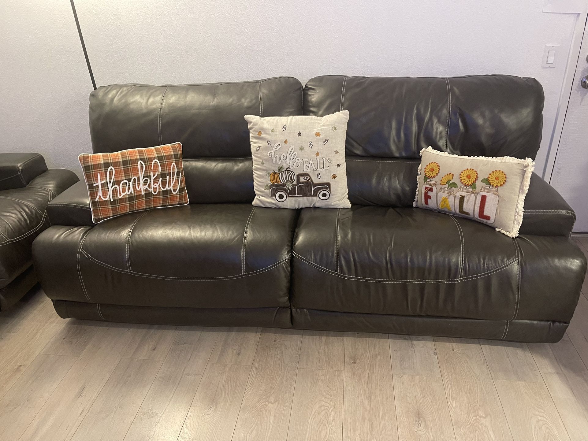 Ashley Leather Couch (electric) $500