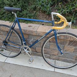 Nishiki International Vintage 1983 Road Bike