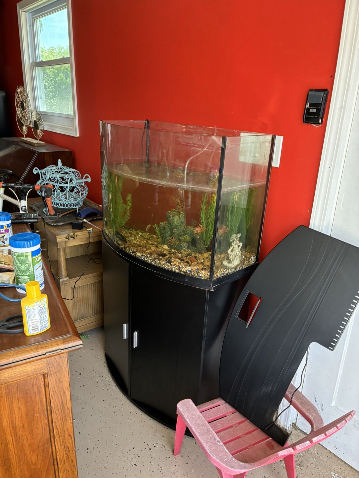 40 Gallon Fish Tank 