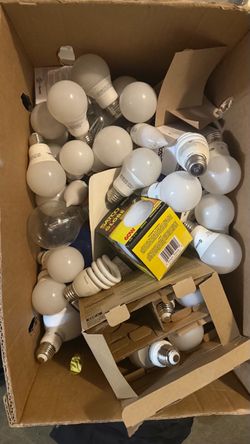Mixed Lot of Light Bulbs