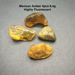Mexican Genuine Amber 4pcs 8.4g Total HIGHLY FLUORESCENT