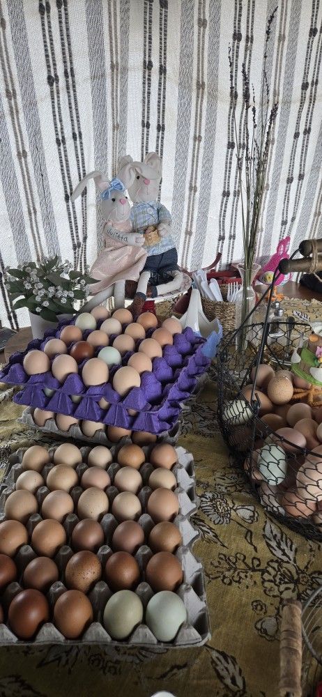 Farm Fresh Free RANGE EGGS