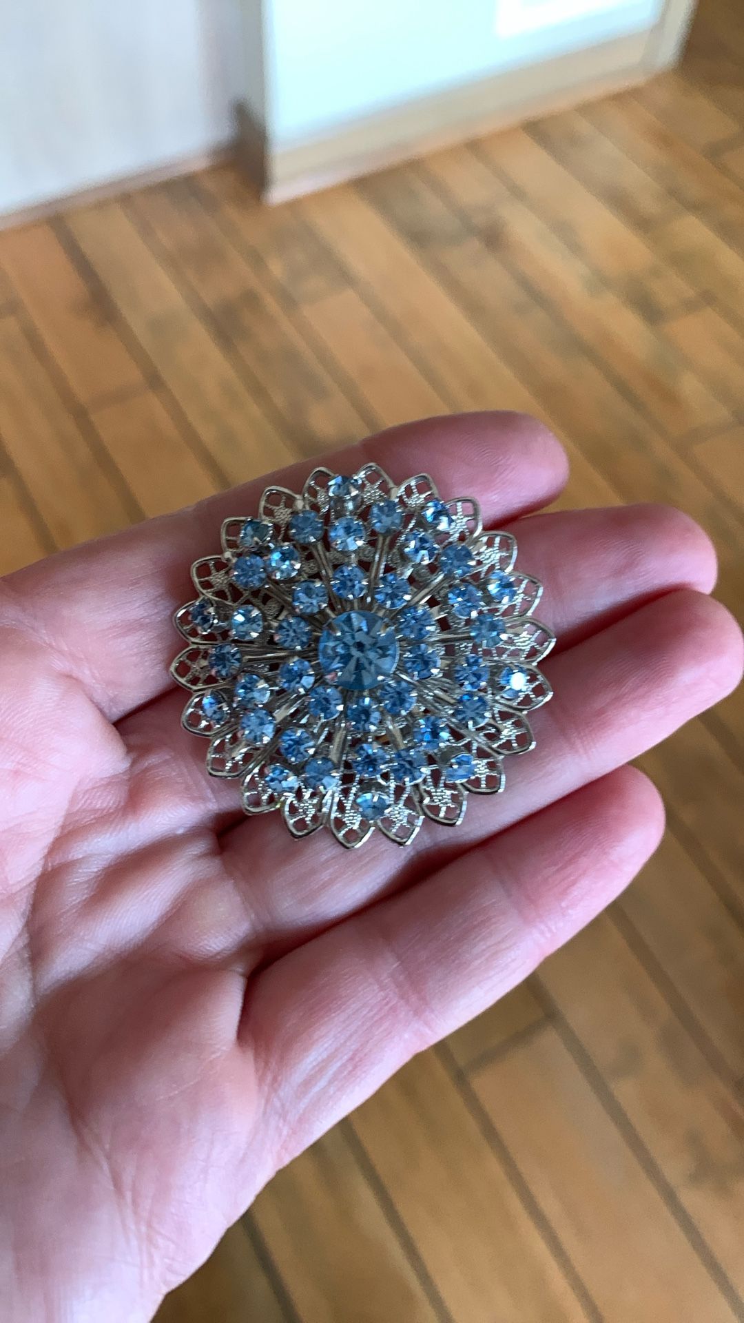 Brooch/ Pendant With Earrings