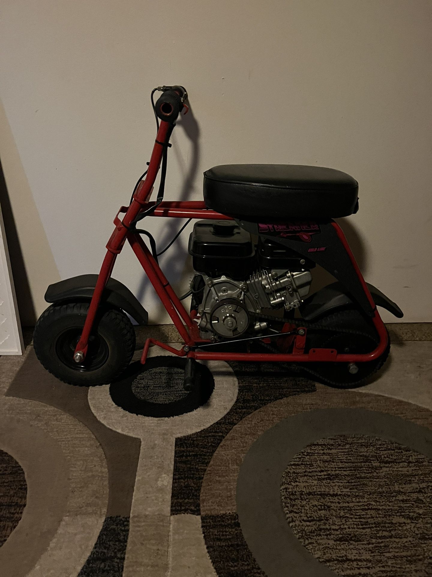Custom Mini Bike 