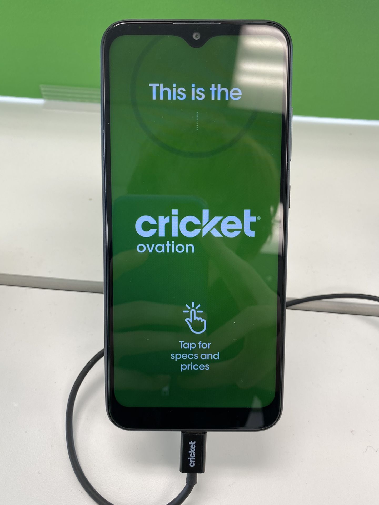 Cricket Ovation