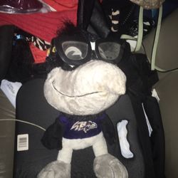 Lnew Large ravens bird NFL only $15