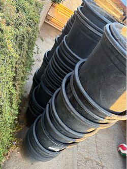 Black nursery plant pots -  5 gallon
