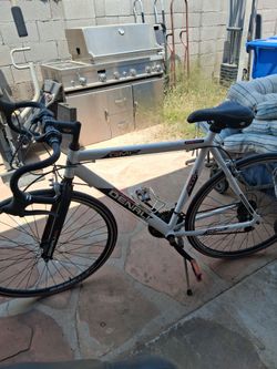 Tight "Denali" Designer Bike