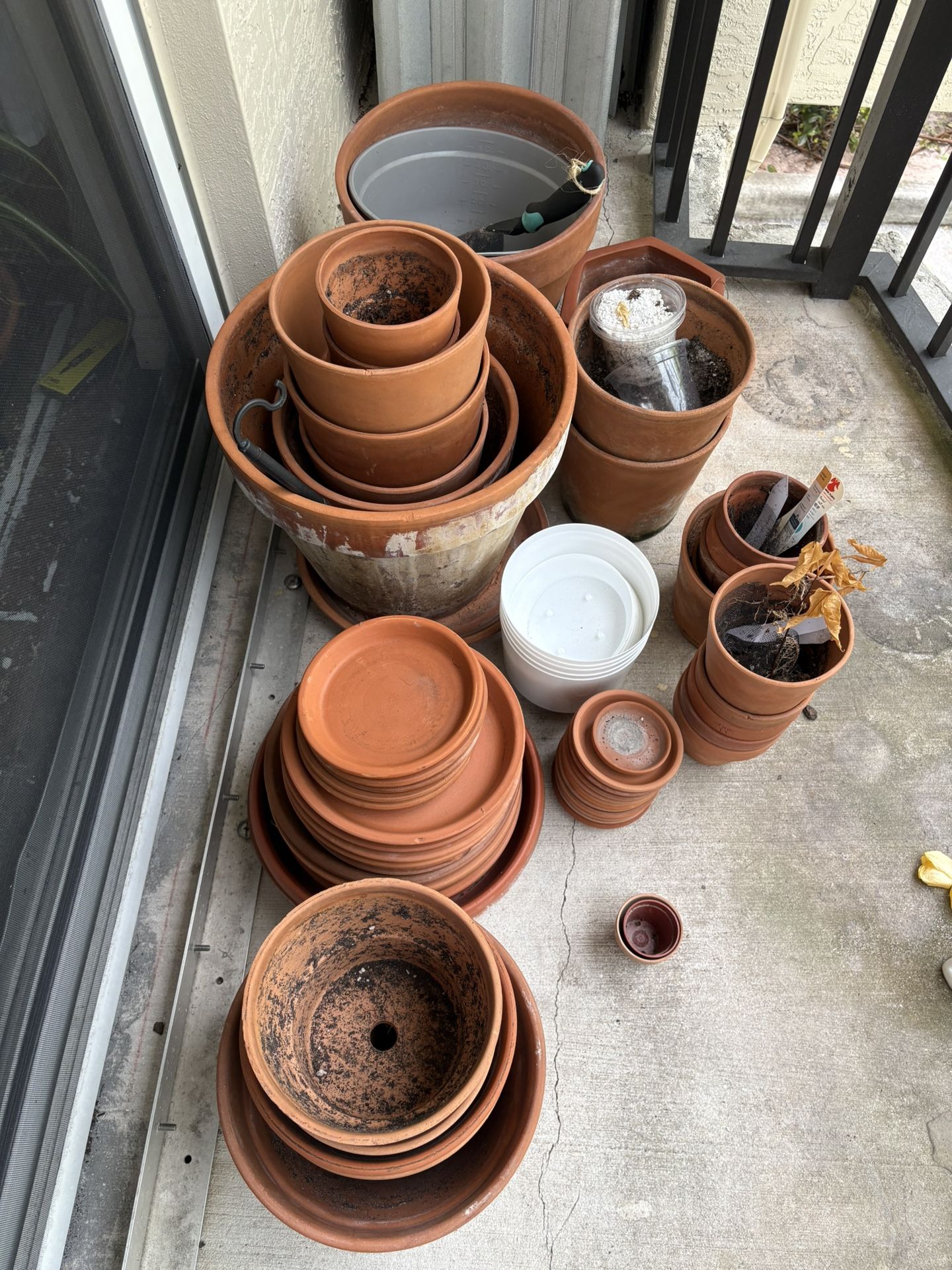 Flower Pots