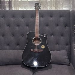 Takamine 6 String G Series