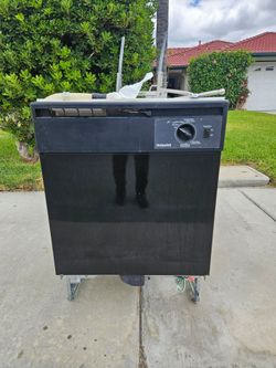 dishwasher ... free!!!