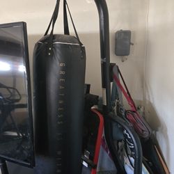Everlast Dual 2-Station Heavy Bag Stand