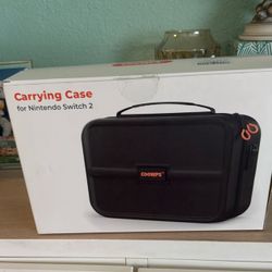 Nintendo Case