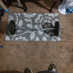 Curl Bar With 50 Pounds Hercules Weight's  By York 