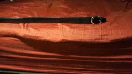 Gucci reversible belt