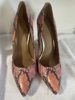 Coach Size 7