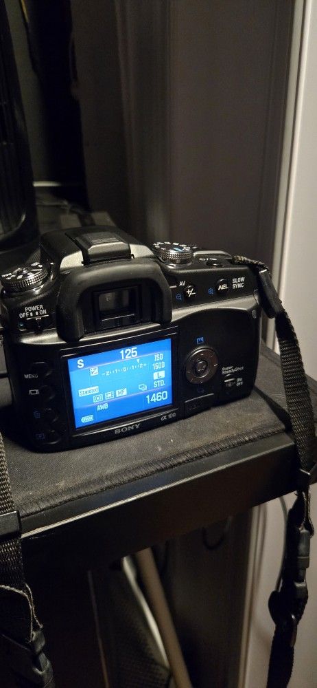 Sony Alpha 100