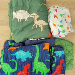 Boys Dinosaur Twin Bed Comforter And Sheets
