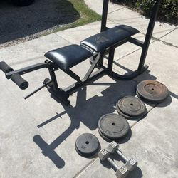 Weight Bench