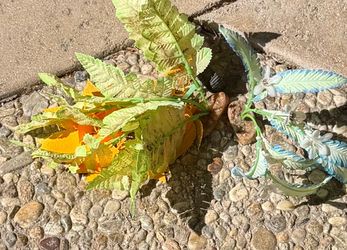 Fake plants for small aquarium.