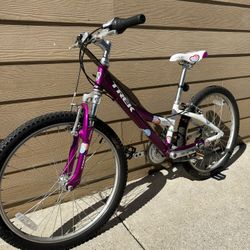 Aluminum Bike Trek Sz 24