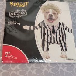 Beetlejuice dog costume No wig