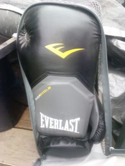 Everlast Gloves