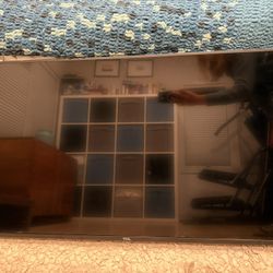 TCL 43S517 43-Inch 4K Ultra HD Roku Smart LED TV