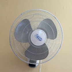 Wall Fan
