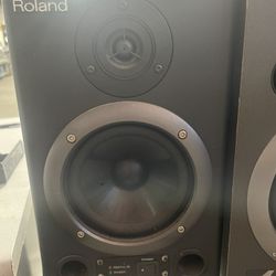 Roland Ds-30A Bi-Amp Studio Monitor 24 Bit  Digital 