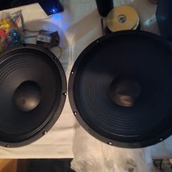 15" Woofer Replacement For Powered Speaker
