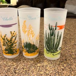 Vintage Arizona Cactus Glasses 