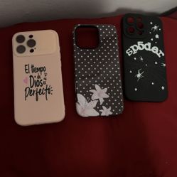 iPhone 16 Pro Max Cases 