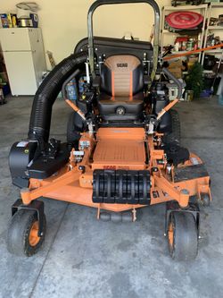 Tiger Cat 2 61