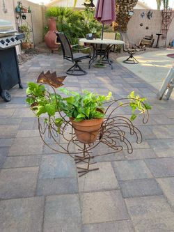 Plant in Metal Rooster