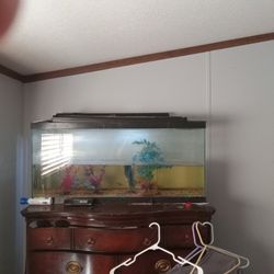 Fish Tank Roughly 20-25g I'm Not To Sure 