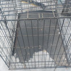 2 Metal Dog Crates 42×36 $40 Each