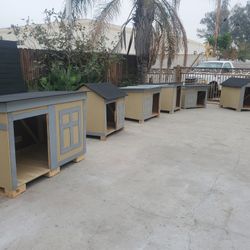 Dog House