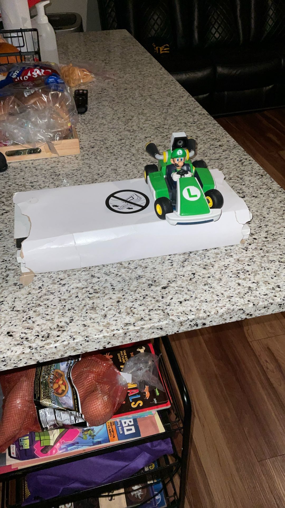Mario Kart Live Game Luigi Character