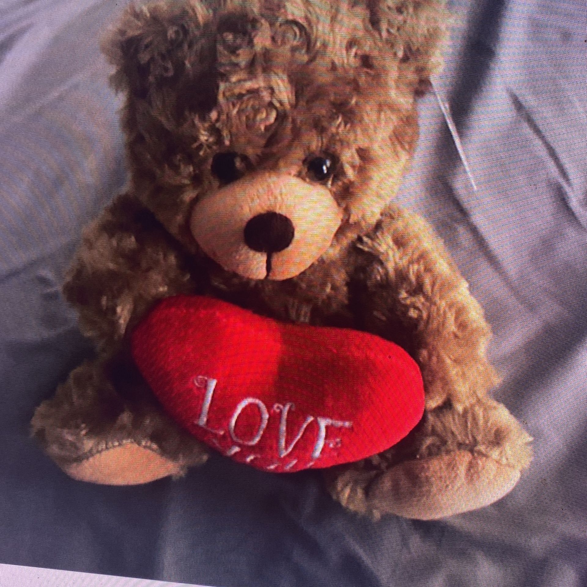 Medium Brown Teddy Bear Holden Love You, Heart