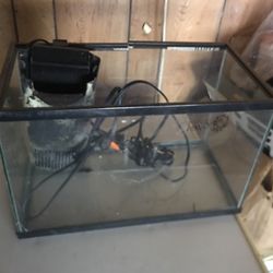 Small Fish Tank