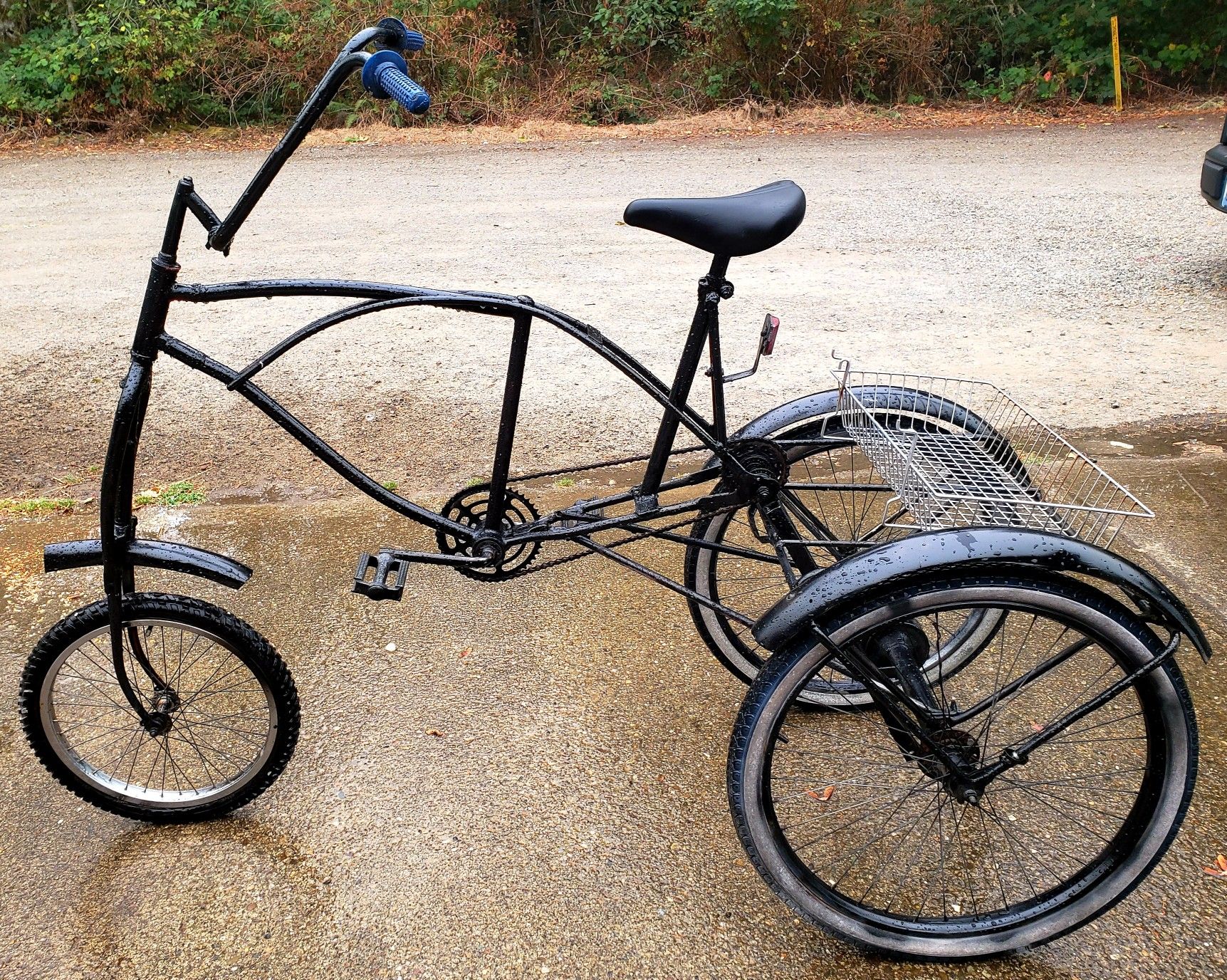 craigslist adult tricycle