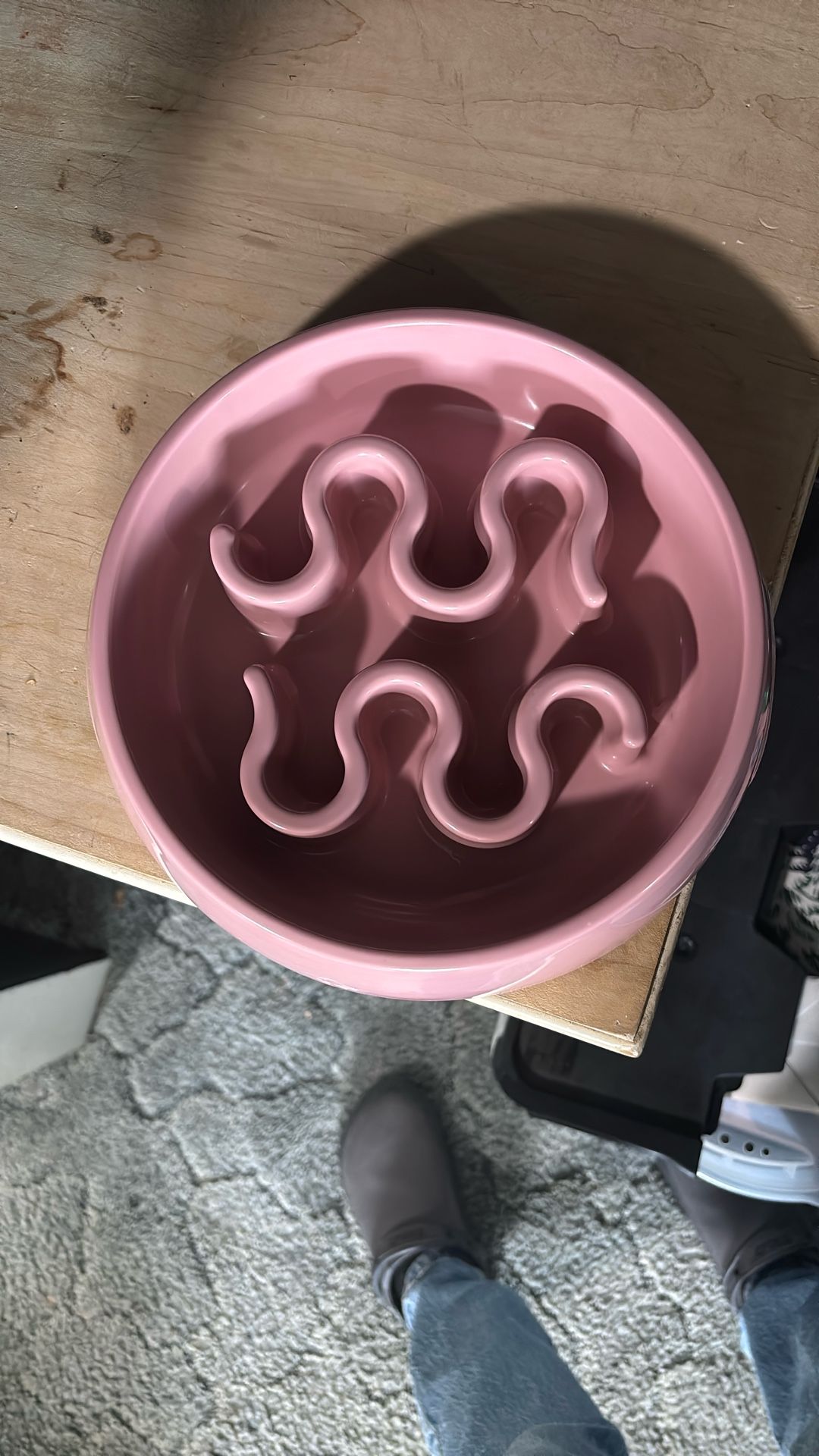 dog bowl